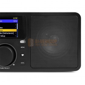 Audizio Rome - WIFI Internet Stereo DAB+ Radio hout speaker