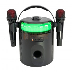 Ibiza Sound Karahome-bk - Bluetooth Karaoke Luidspreker