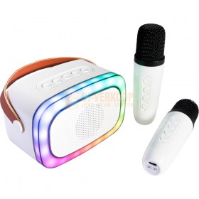 Ibiza Sound KARAKID20 - Mini Bluetooth Speaker met 2 draadloze microfoons